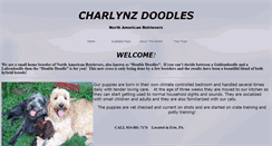 Desktop Screenshot of charlynzdoodles.com