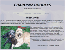 Tablet Screenshot of charlynzdoodles.com